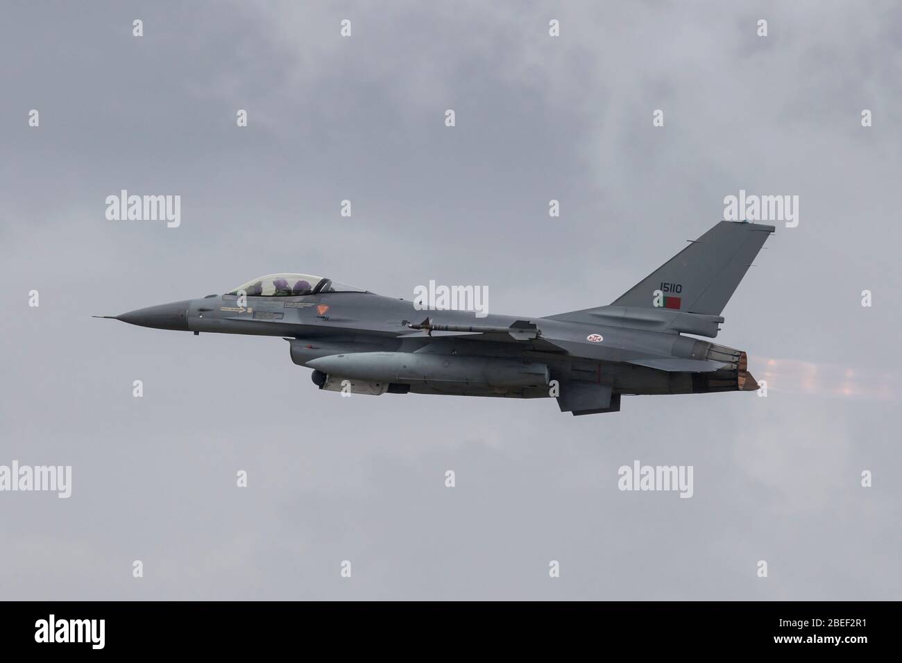 General Dynamics der portugiesischen Luftwaffe F-16AM von Esquadra 301 bei NATO Tiger Treffen 2019 bei der französischen Luftwaffe Mont de Marsan BA118 Basis Stockfoto