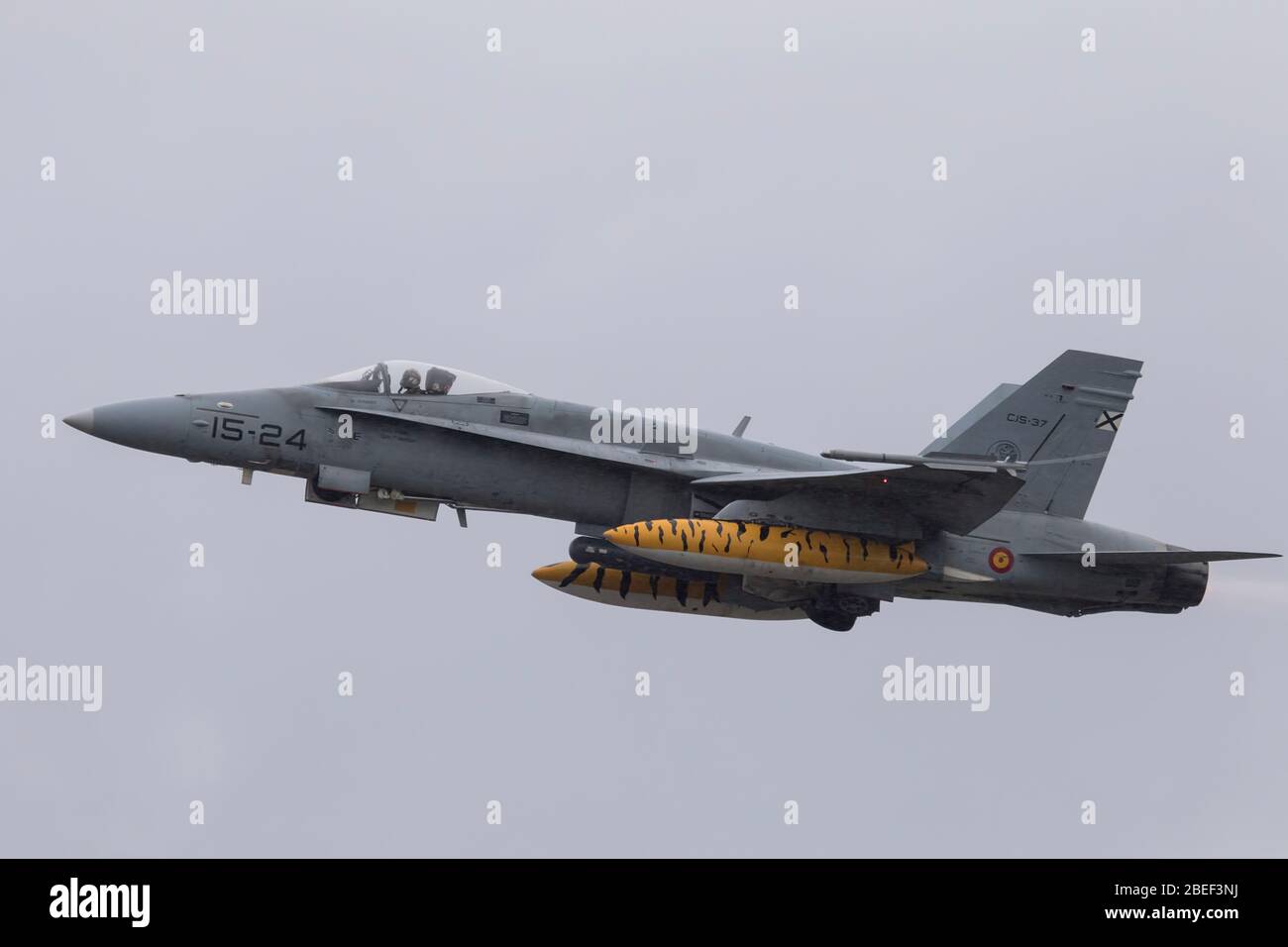 Spanische Luftwaffe McDonnell Douglas EF-18 Hornet bei NATO Tiger Treffen 2019 bei der französischen Luftwaffe Mont de Marsan BA118 Basis Stockfoto