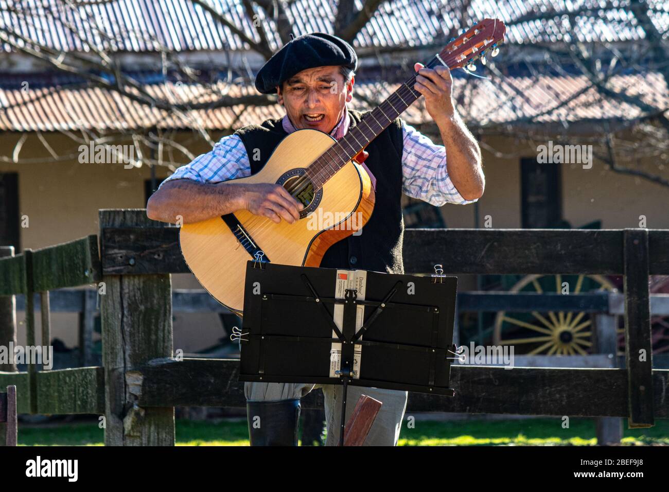 Gaucho Sängerin, Estancia Ombu, San Antonio de Areco, Argentinien Stockfoto