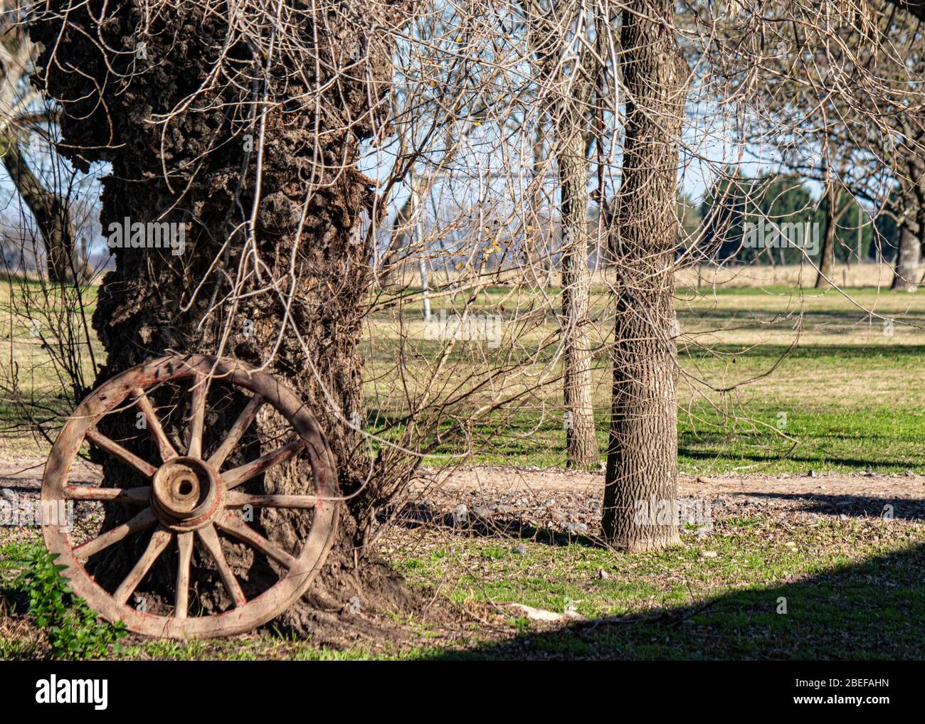 Estancia Ombu, San Antonio de Areco, Argentinien Stockfoto