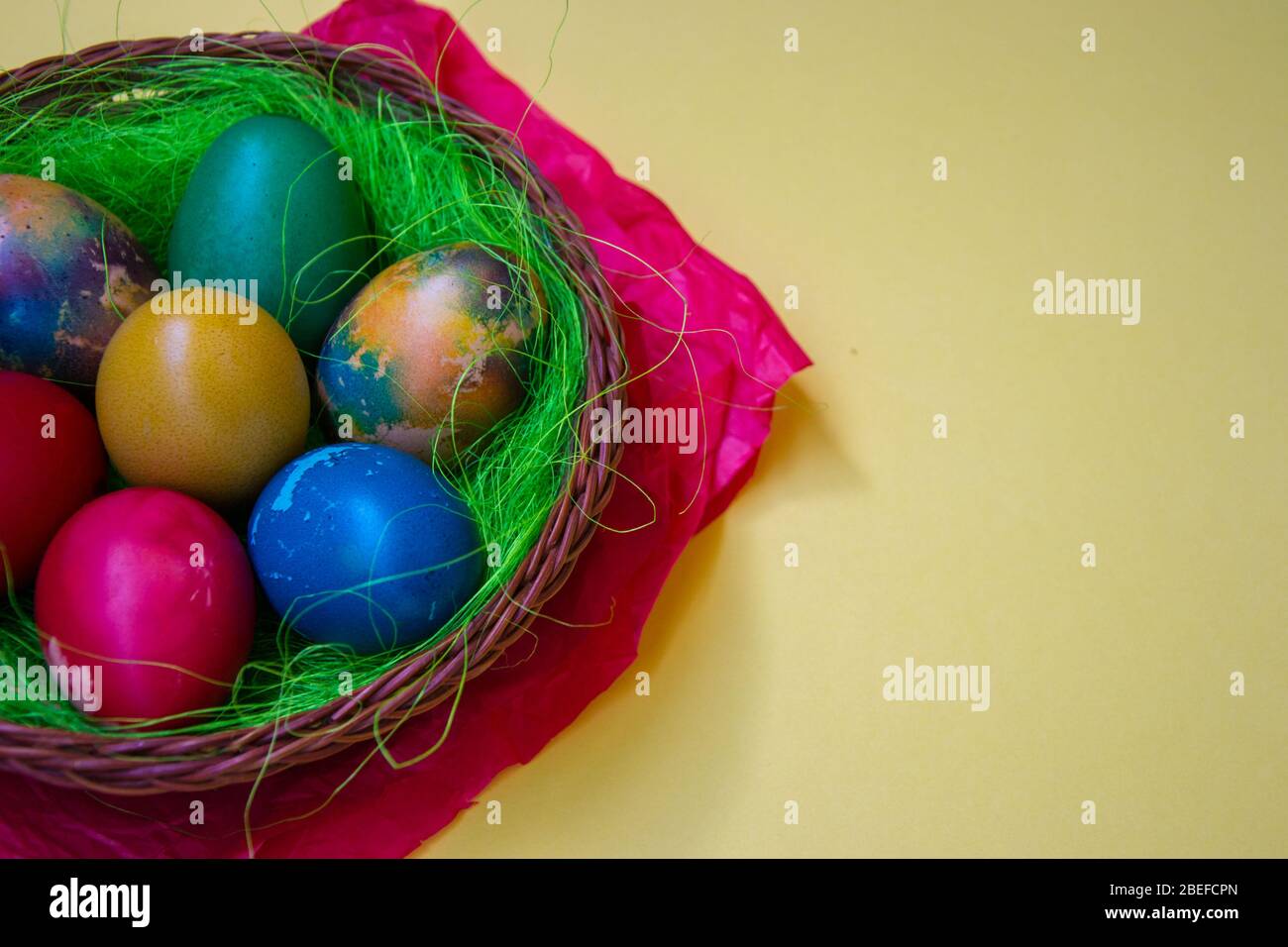 Grünes Gras Nest in einem Korb mit farbigen Hühnchen Ostereier, bunt bemalten Eiern, Ostertradition, Copy space, leerer Platz für Text, celebrat Stockfoto