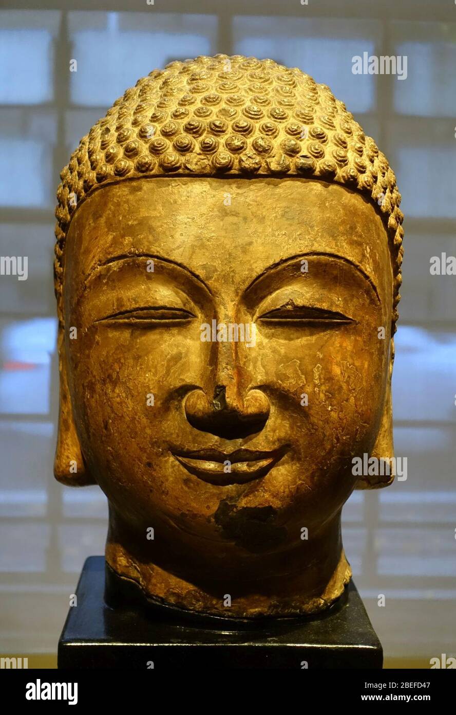 Kopf eines Buddha, Xiangtangshan Höhlenkomplex, Ansicht 1, China, Hebei Provinz, Nördliche Qi-Dynastie, datierbar bis 560 n. Chr., Kalkstein Stockfoto