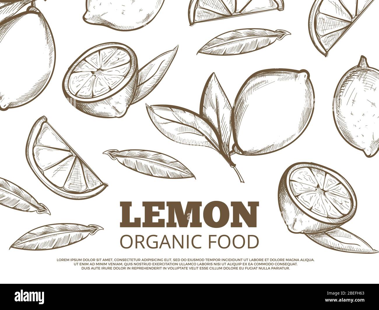 Bio-Lebensmittel-Bannerplakat mit handgezeichneten Zitronen. Vektorgrafik Stock Vektor