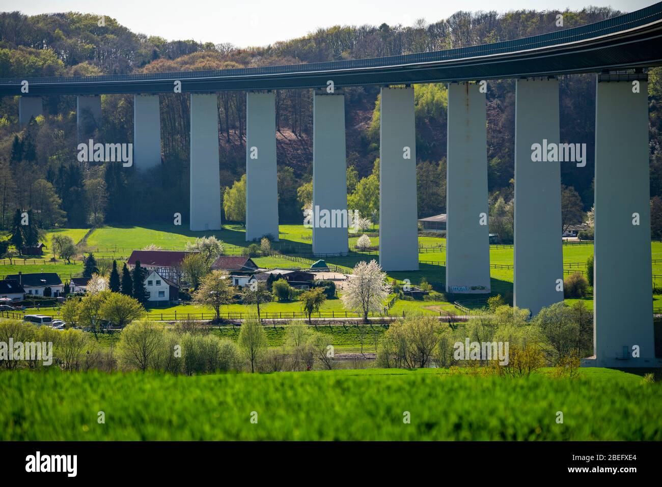 Landschaft bei MŸlheim an der Ruhr, Ortsteil Mintard, Frühlingsfelder, Ruhrdeich, Ruhrtalbrücke, Deutschland, Stockfoto