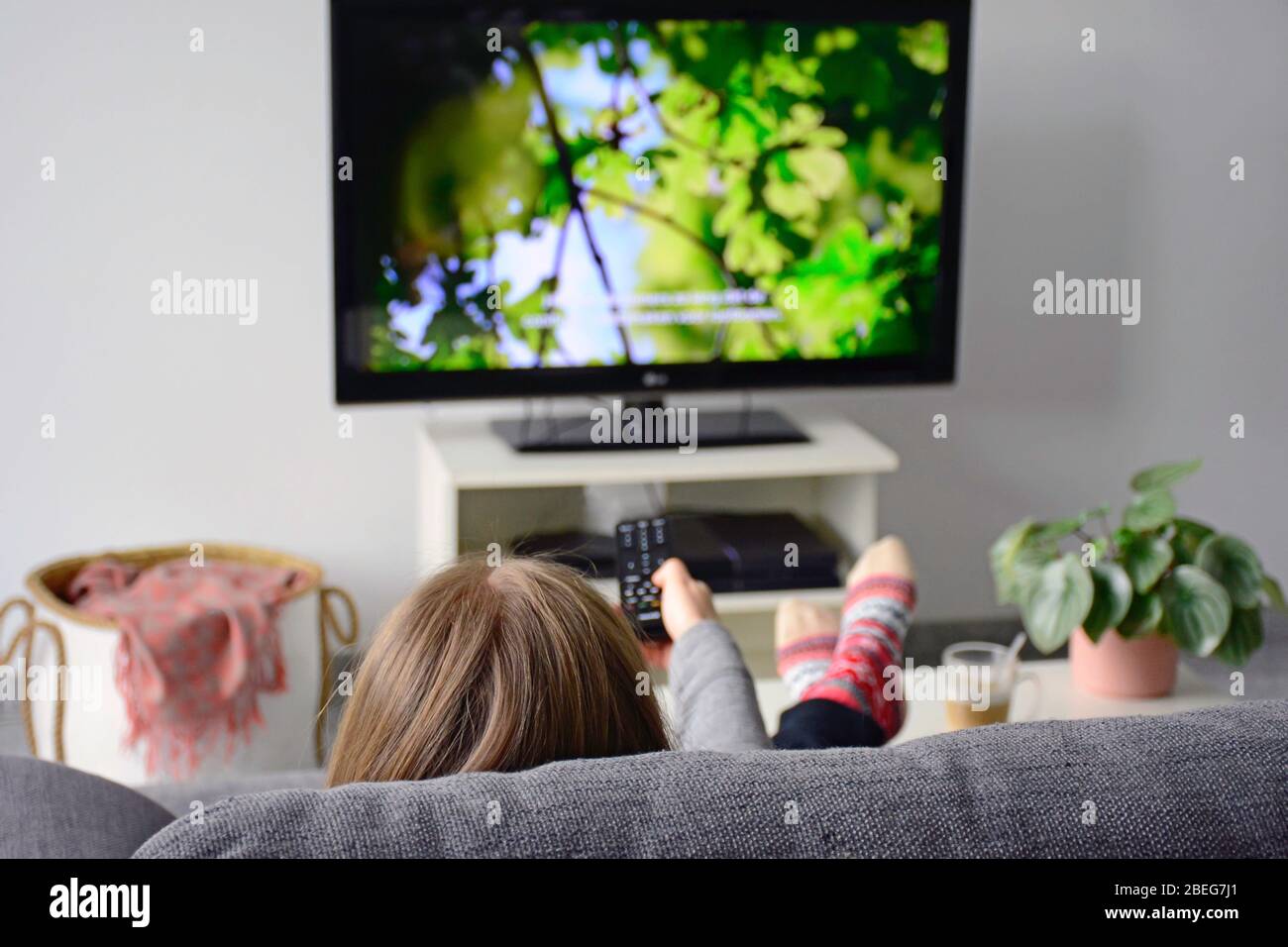 Junge Frau Fernsehen mit Untertiteln während sie bequem auf dem Sofa zu Hause im Wohnzimmer sitzt. Natur, Grün, Dokumentarfilm, tv-Bildschirm Stockfoto