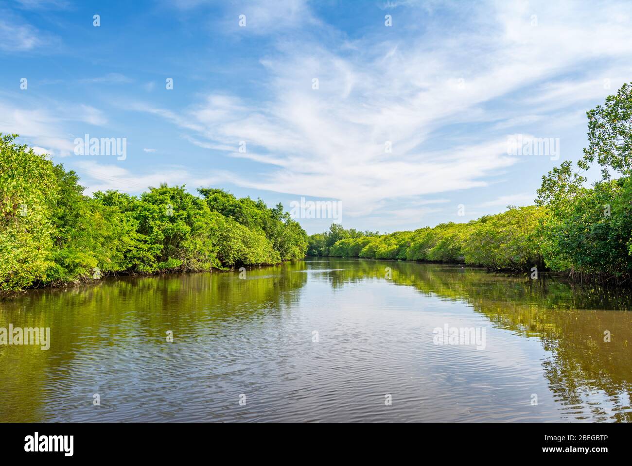 Blick vom Wasserweg im Monterrico Naturschutzgebiet in Guatemala Stockfoto