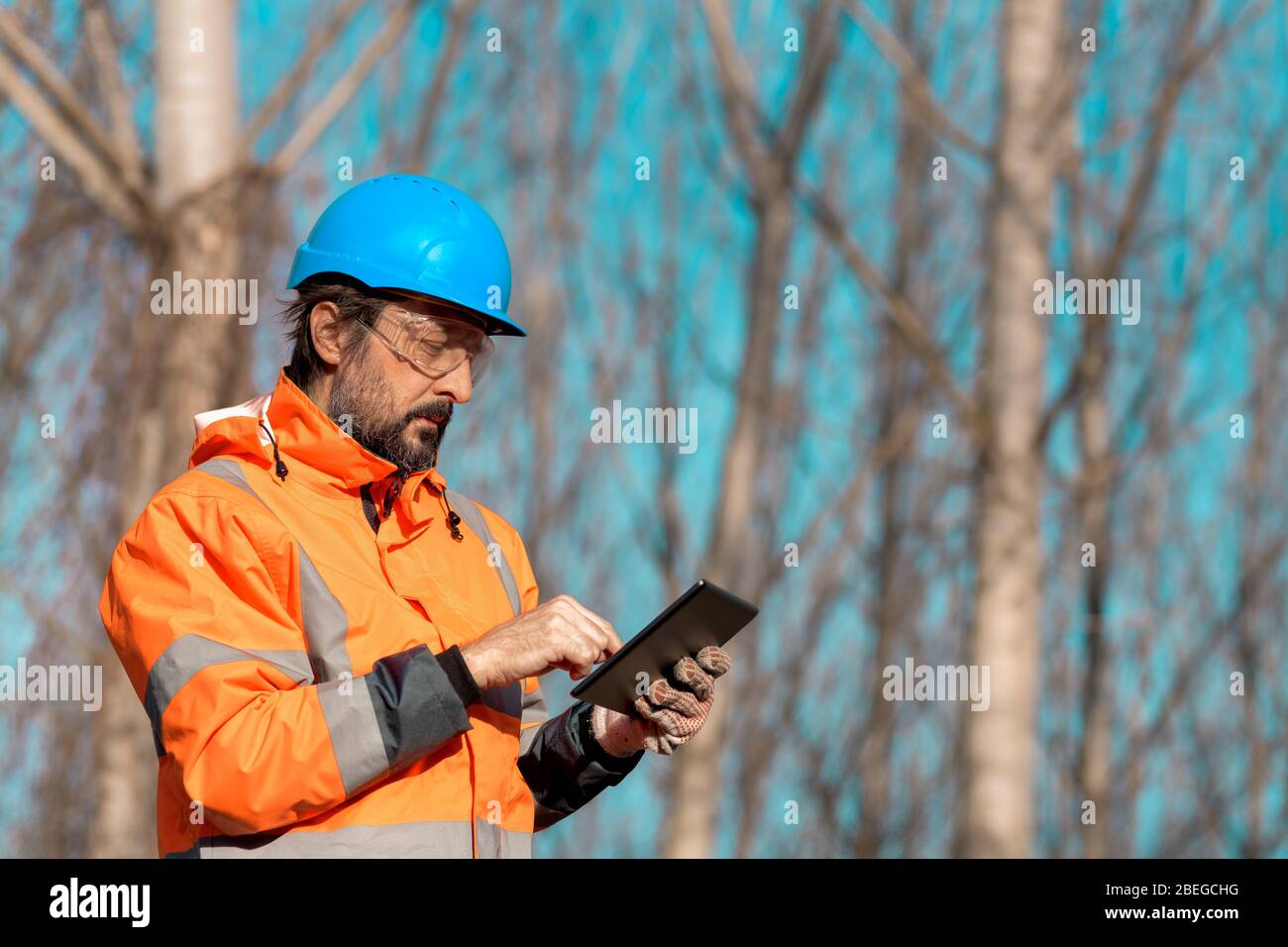 Forsttechniker, der einen digitalen Tablet-Computer in der Waldstruktur verwendet, um während der Entwaldung Daten zu erfassen Stockfoto