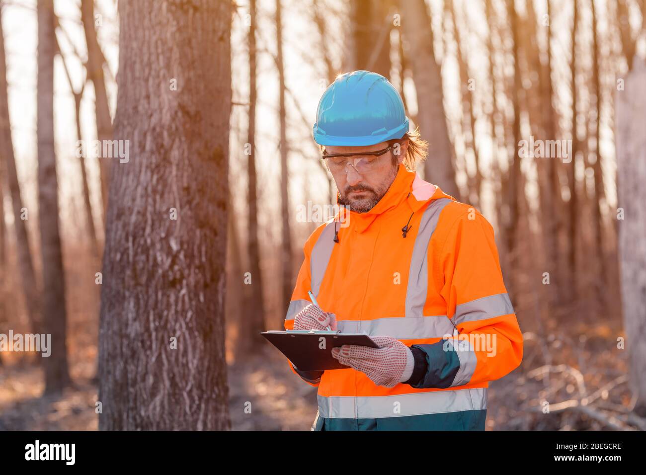 Forsttechniker, der während des Entwaldungsvorgangs Notizen auf Notizblock in der Zwischenablage in Wald schreibt Stockfoto