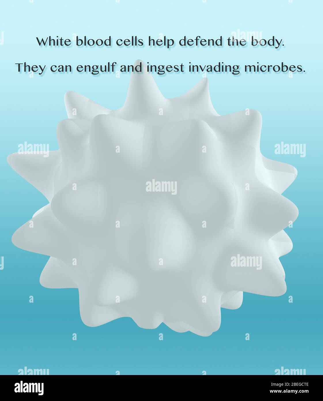 Weiße Blutkörperchen, 3D-Abbildung Stockfoto