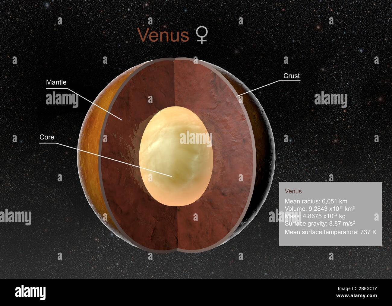 Illustration des Planeten Venus. Kruste, Mantel und Kern sind in der Schnittansicht markiert. Außerdem werden Fakten in Bezug auf Größe, Gravitation und Temperatur der Venus gezeigt. Stockfoto