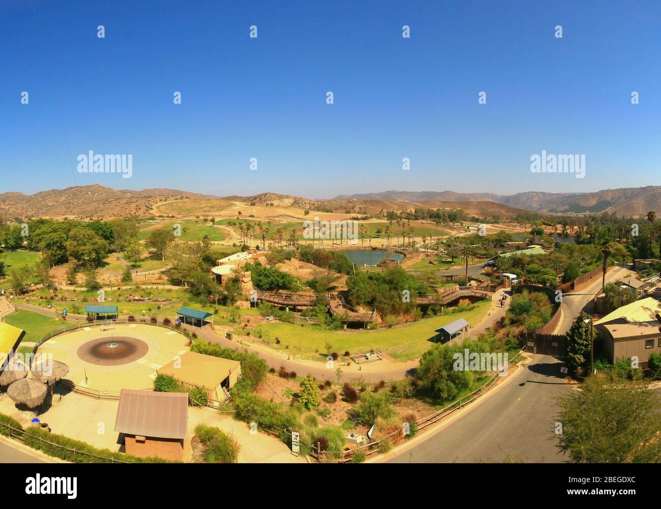 Blick aus dem Blickwinkel des San Diego Zoo Safari Park in Kalifornien Stockfoto