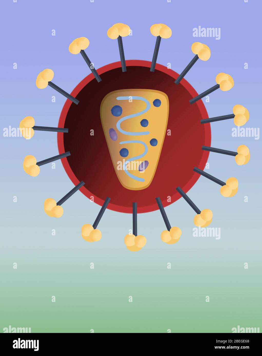 Struktur von HIV Stockfoto