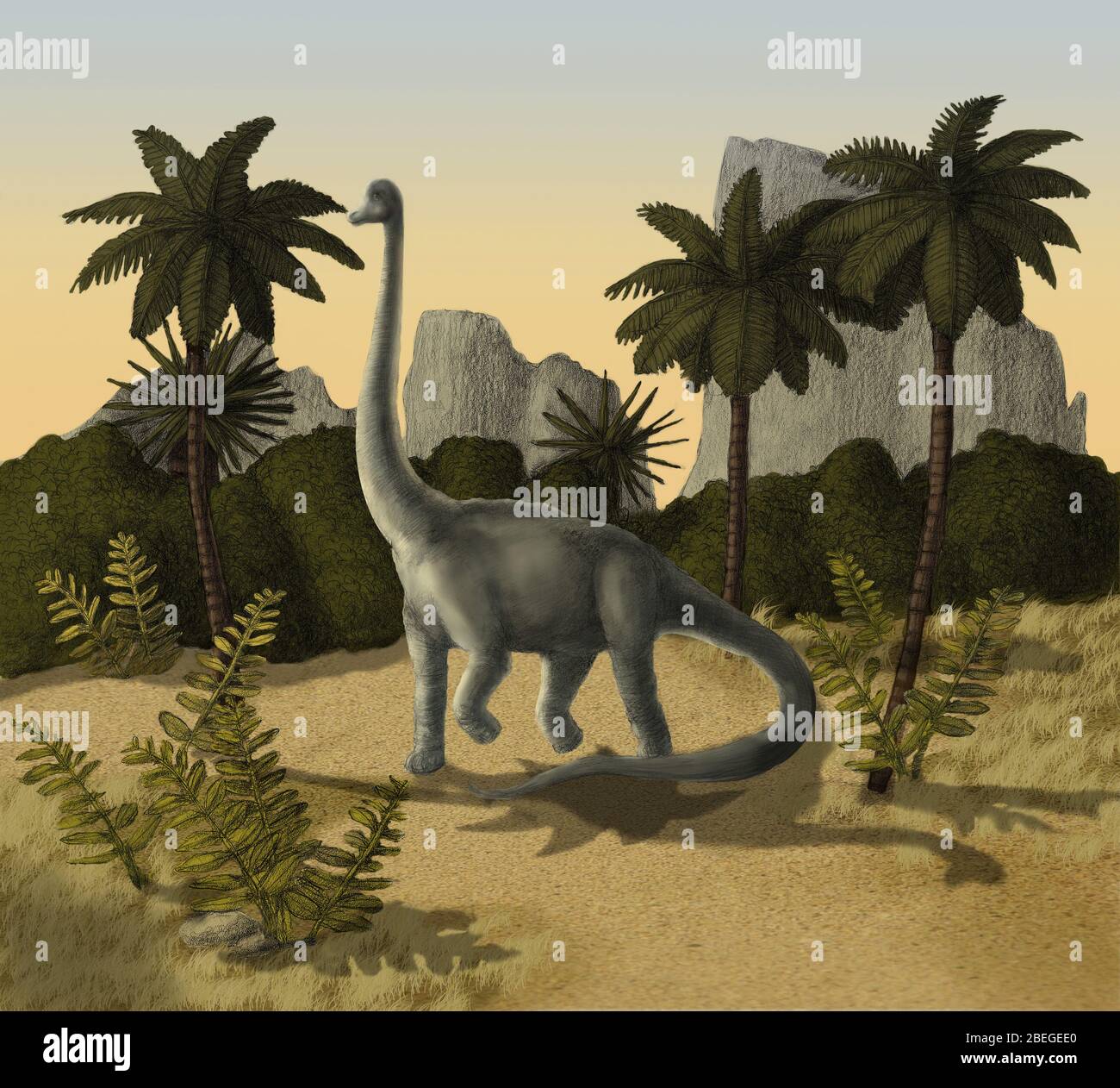 Brachiosaurus Fotos und Bildmaterial in hoher Auflösung Alamy