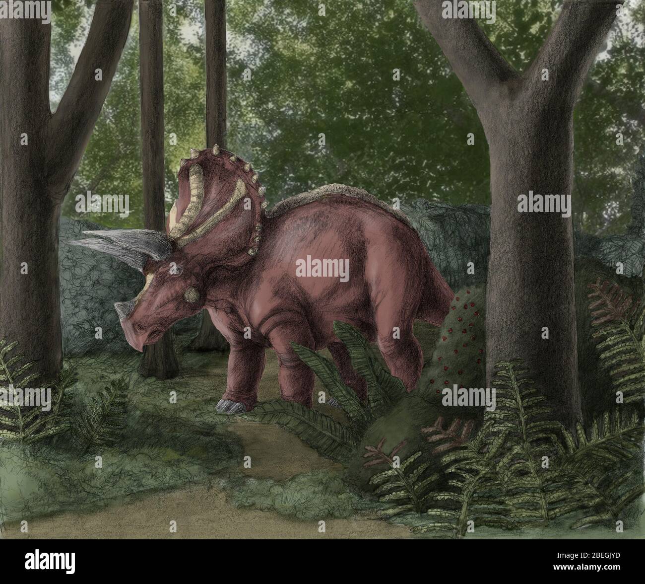 Triceratops Stockfoto