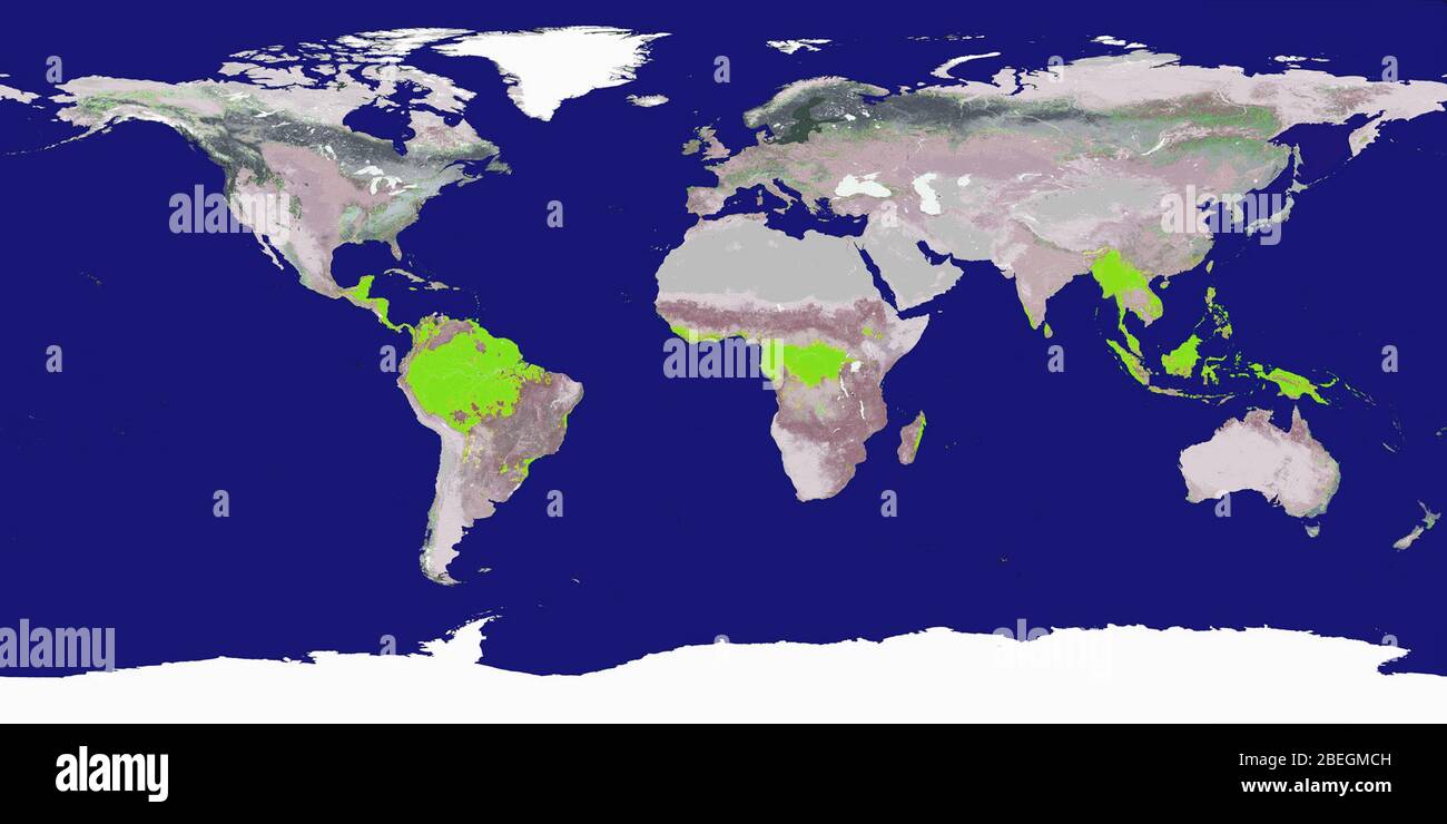 Weltkarte mit tropischen Regenwäldern Stockfoto