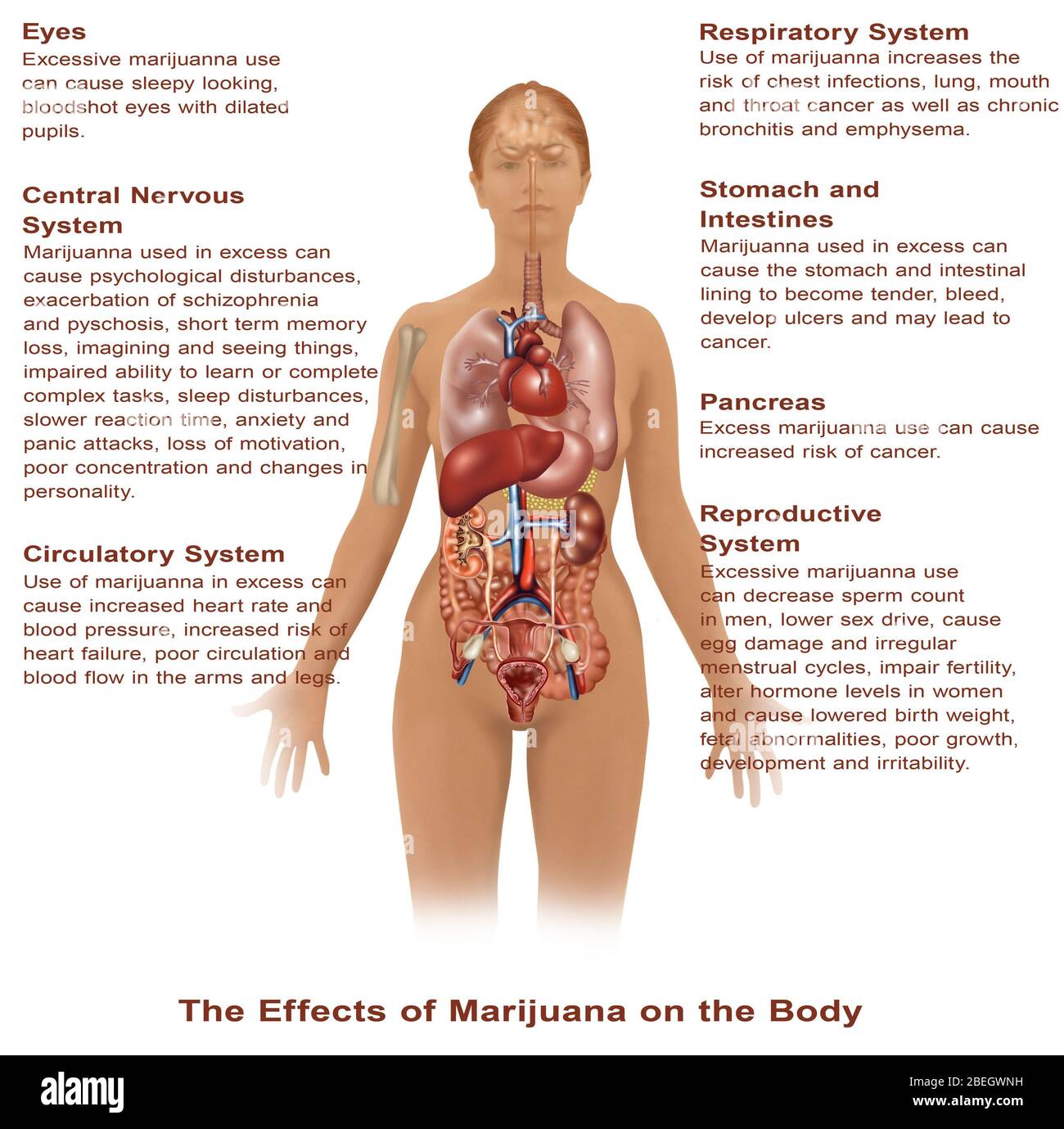 Auswirkungen der Verwendung von Marihuana Stockfoto
