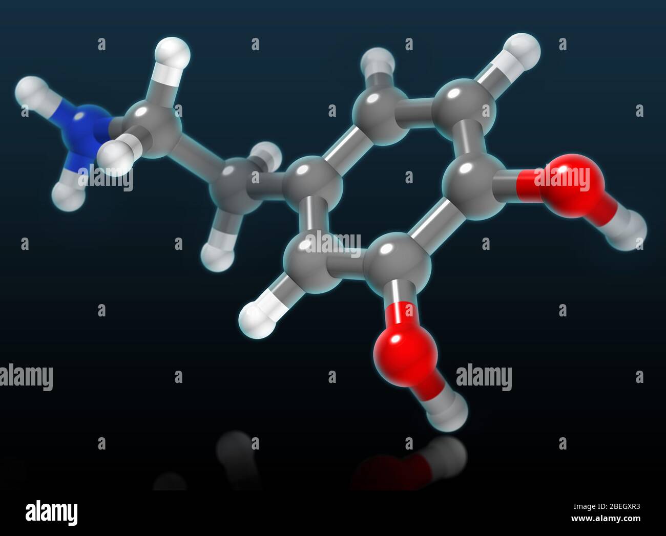 Molekulares Dopamin-Modell Stockfoto
