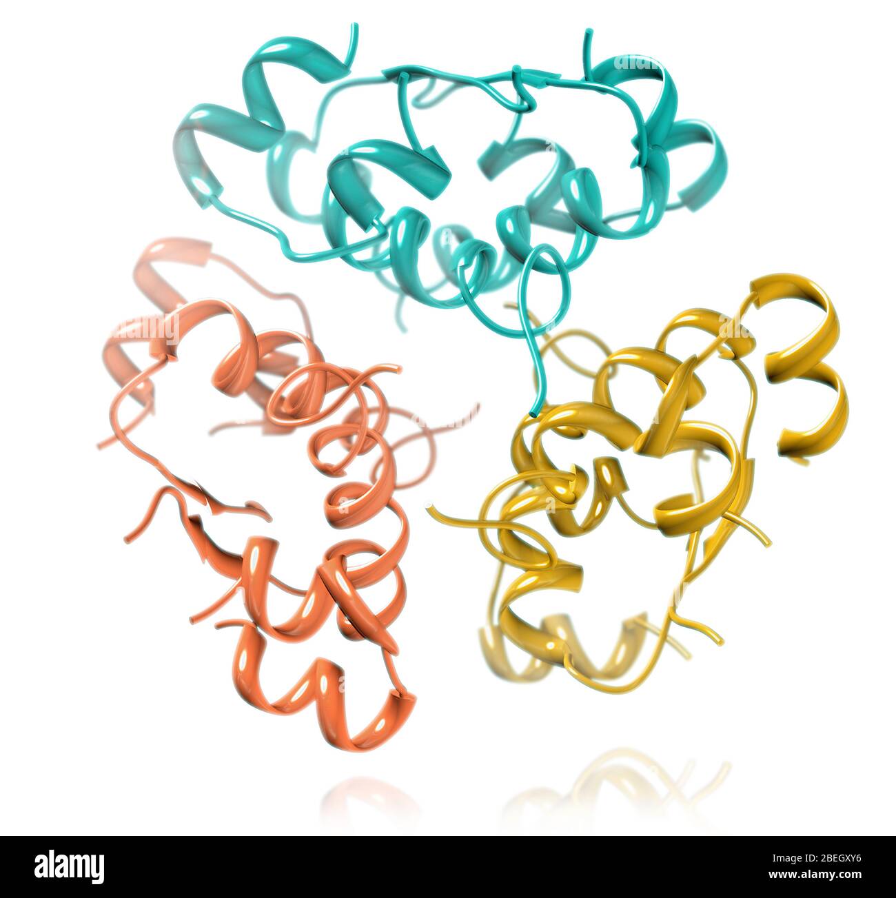 Insulin Hexamer Molekularmodell Stockfoto