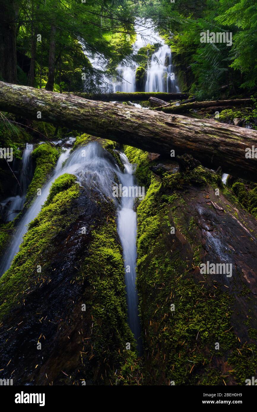 Landschaft des Upper Proxy Waterfall in Oregon Stockfoto