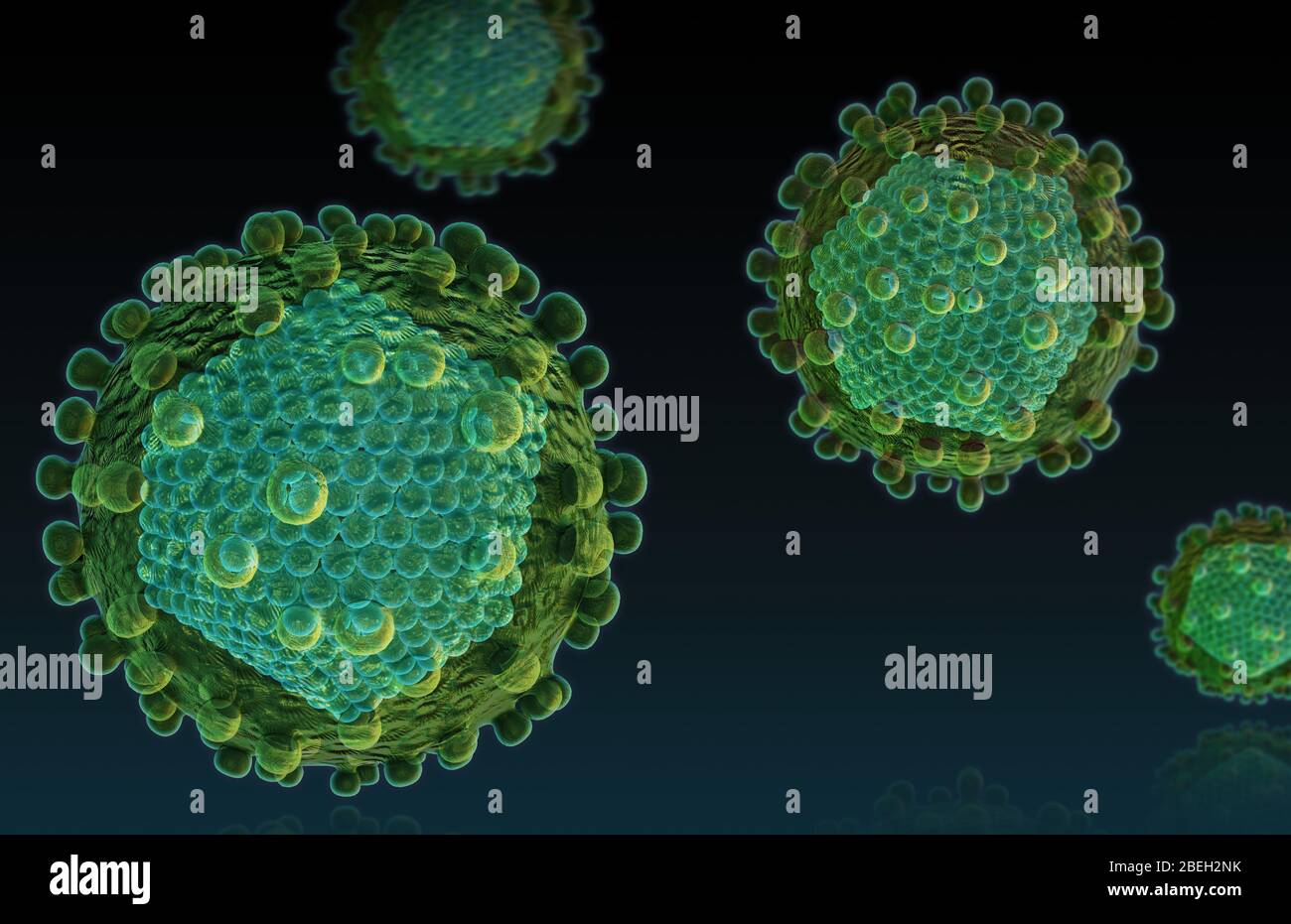 Hepatitis C-Virus Stockfoto