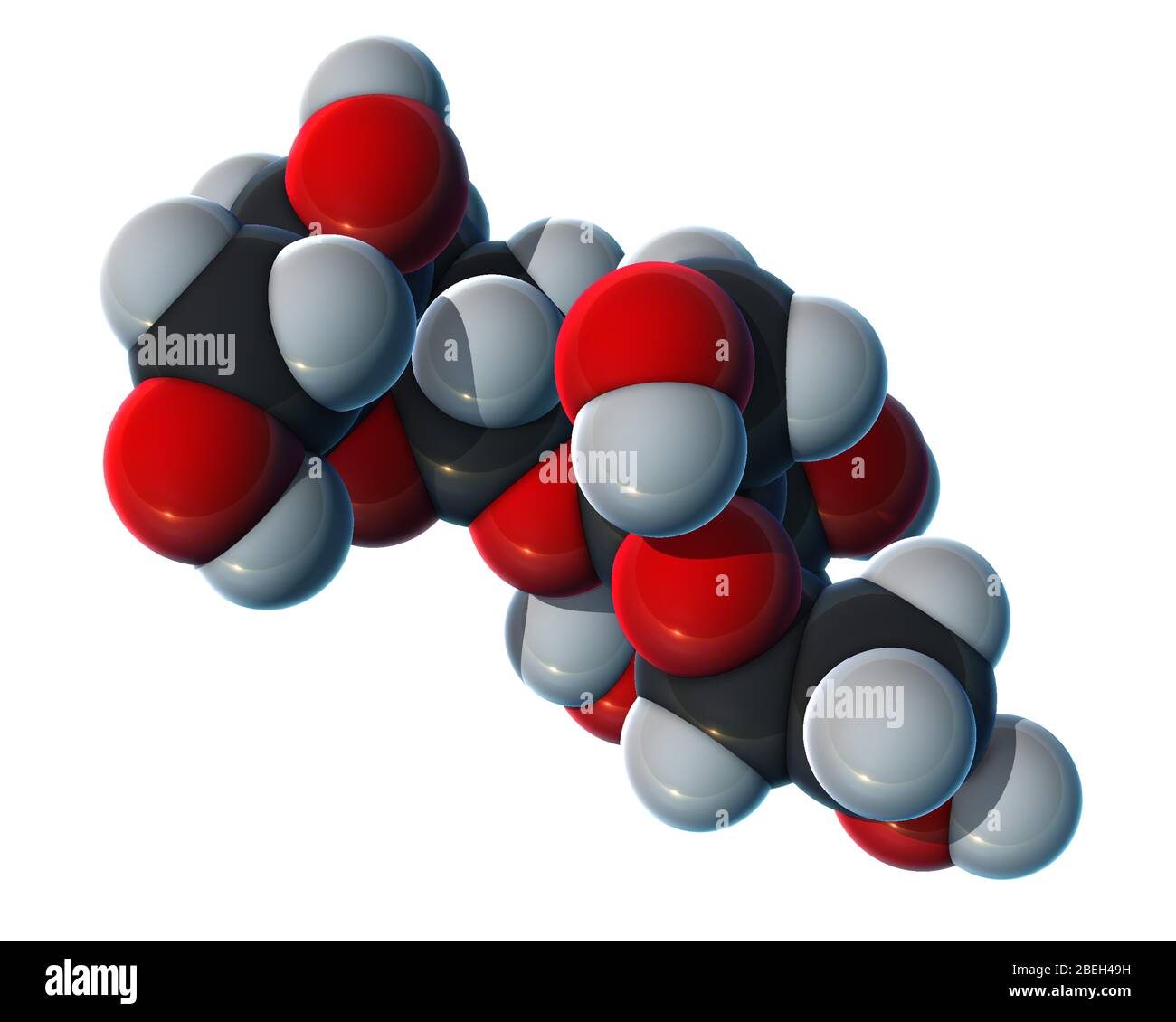 Ein molekulares Modell von Saccharose, einem Disaccharid aus Glukose und Fruktose, das allgemein als Tafelzucker bekannt ist. Saccharose ist ein weißes, geruchloses, kristallines Pulver mit einem süßen Geschmack, das zu verschiedenen Formen von Zucker verfeinert werden kann, die oft in Lebensmitteln oder Getränken verwendet werden. Atome sind dunkelgrau (Kohlenstoff), hellgrau (Wasserstoff) und rot (Sauerstoff) gefärbt. Stockfoto