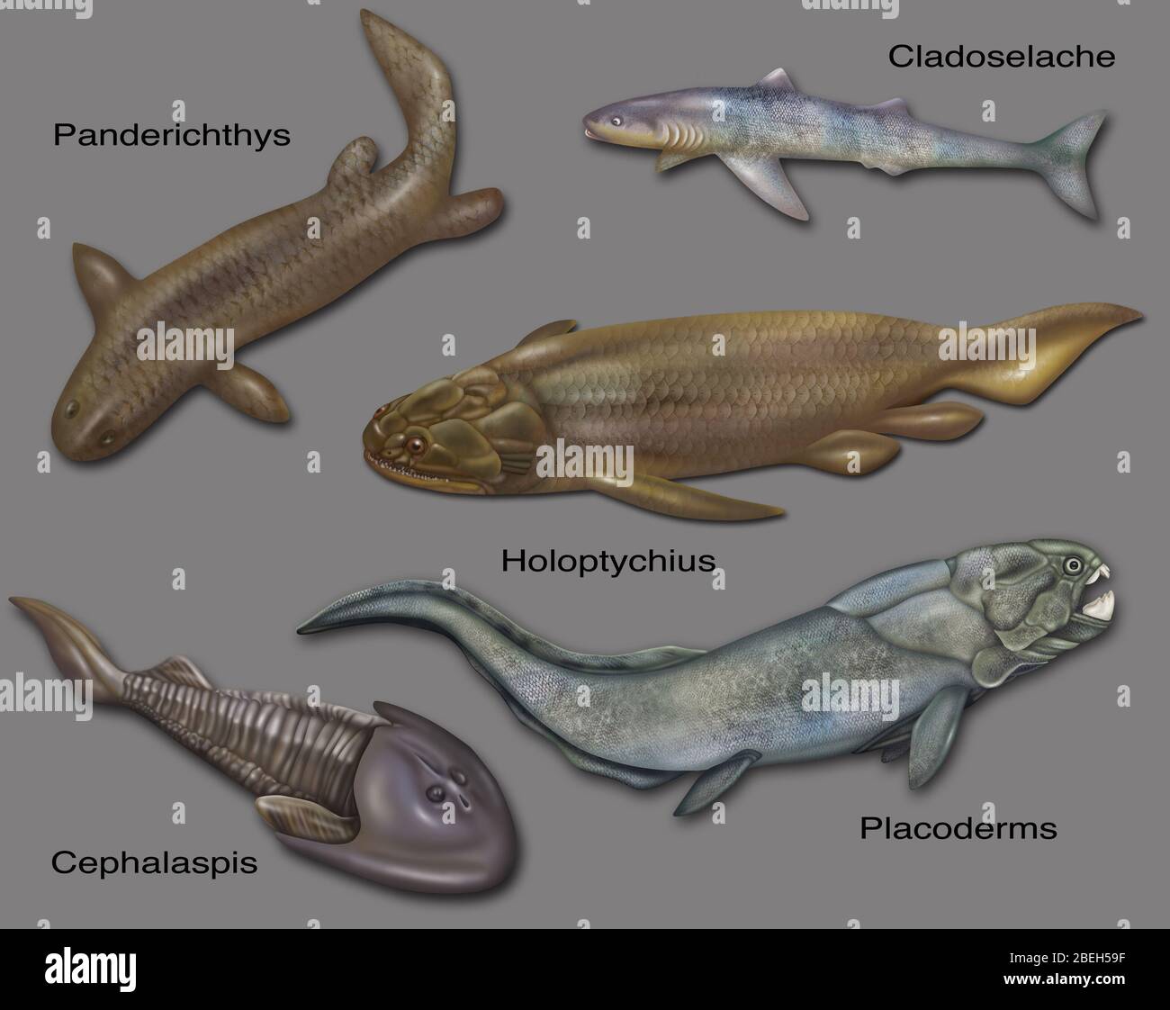 Prähistorische Fische, Illustration Stockfoto