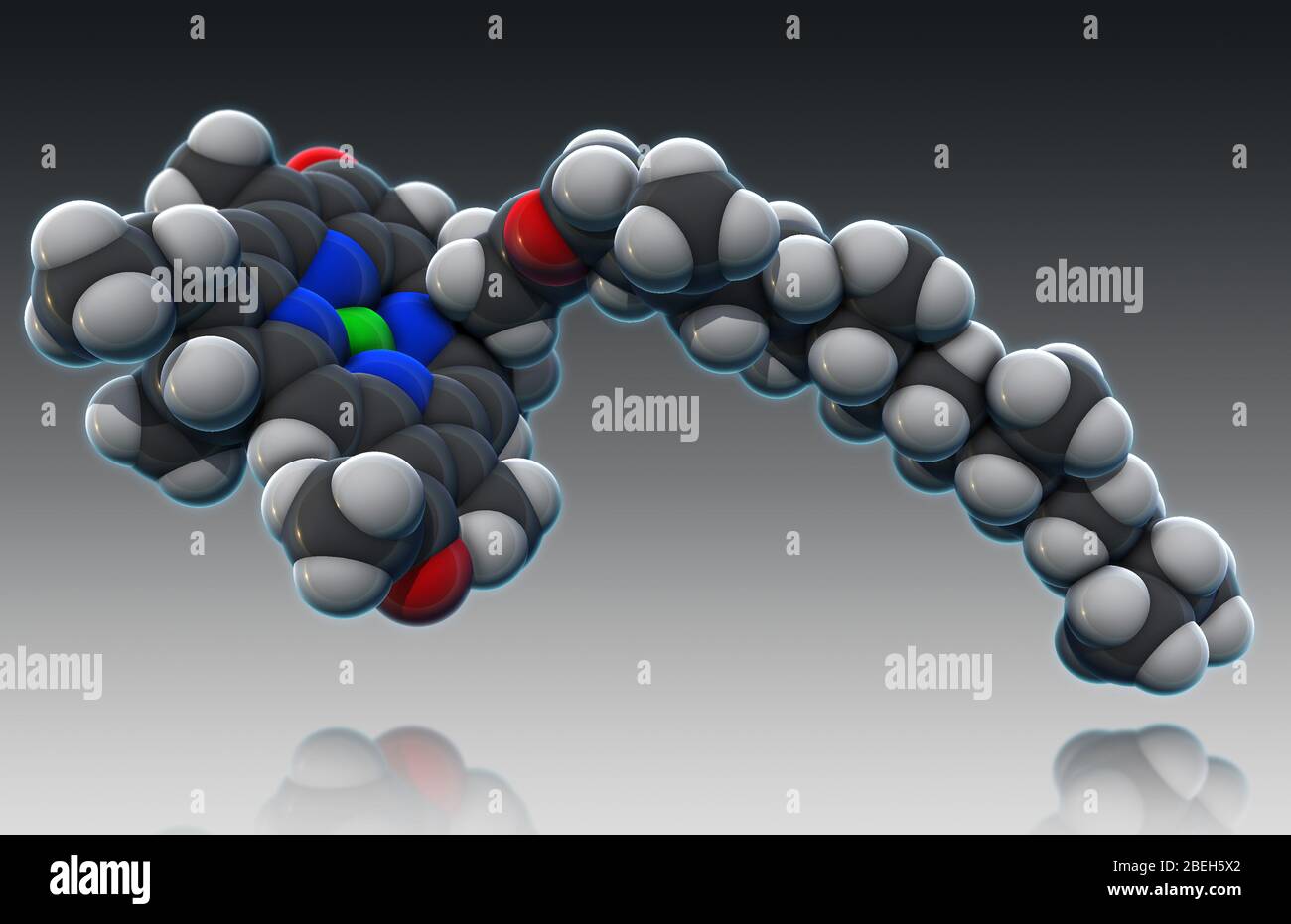 Chlorophyll, Molekulares Modell Stockfoto