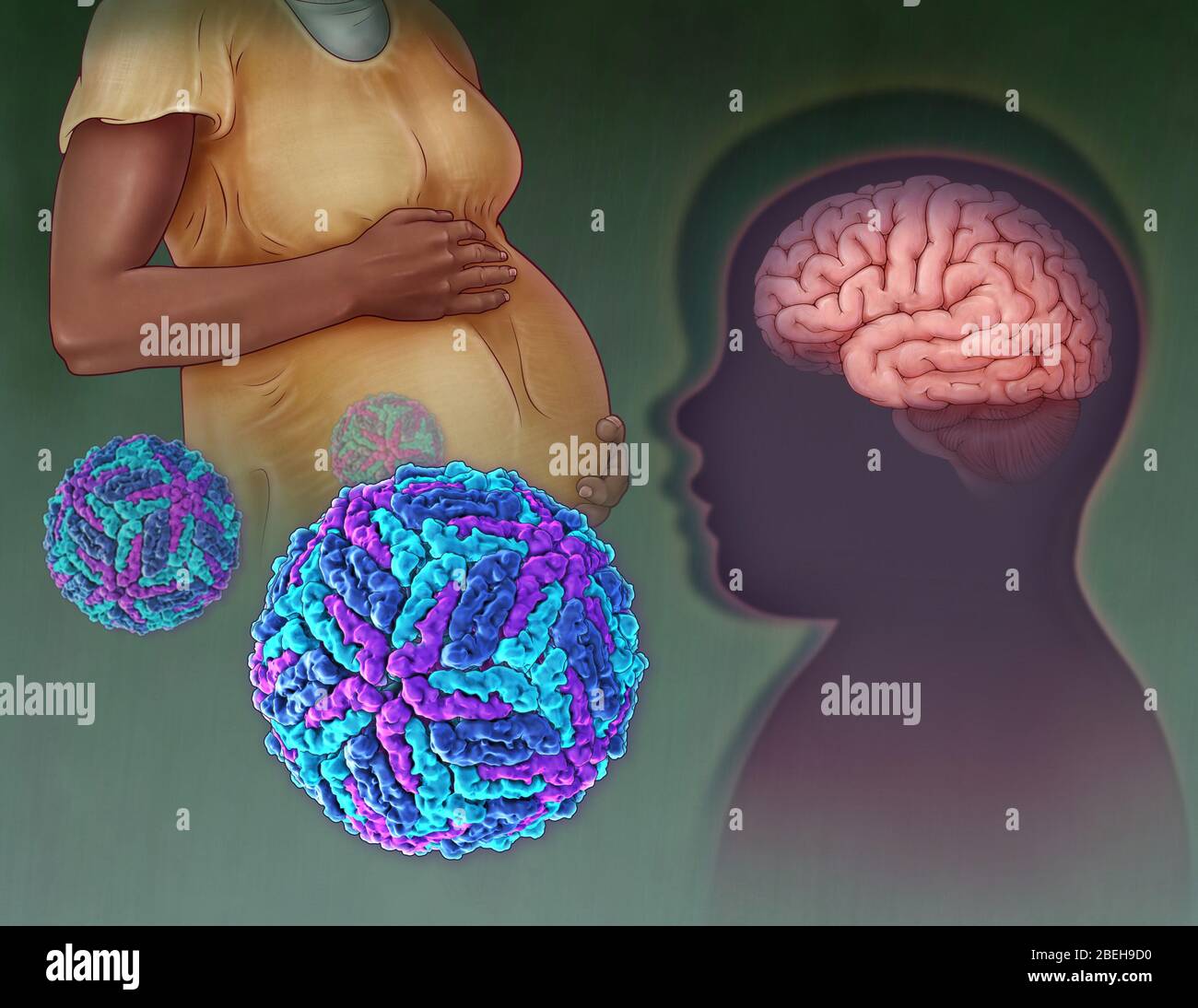Zika Virus, Illustration Stockfoto