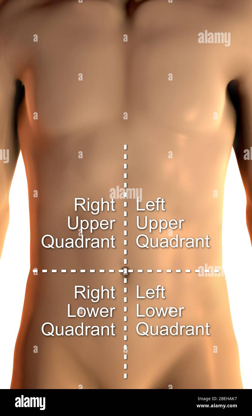 Eine Abbildung eines männlichen Körpers, der die vier Quadranten des Bauchdeckelvans zeigt, die zur Beschreibung der Lage von Schmerzen oder Verletzungen verwendet werden. Stockfoto