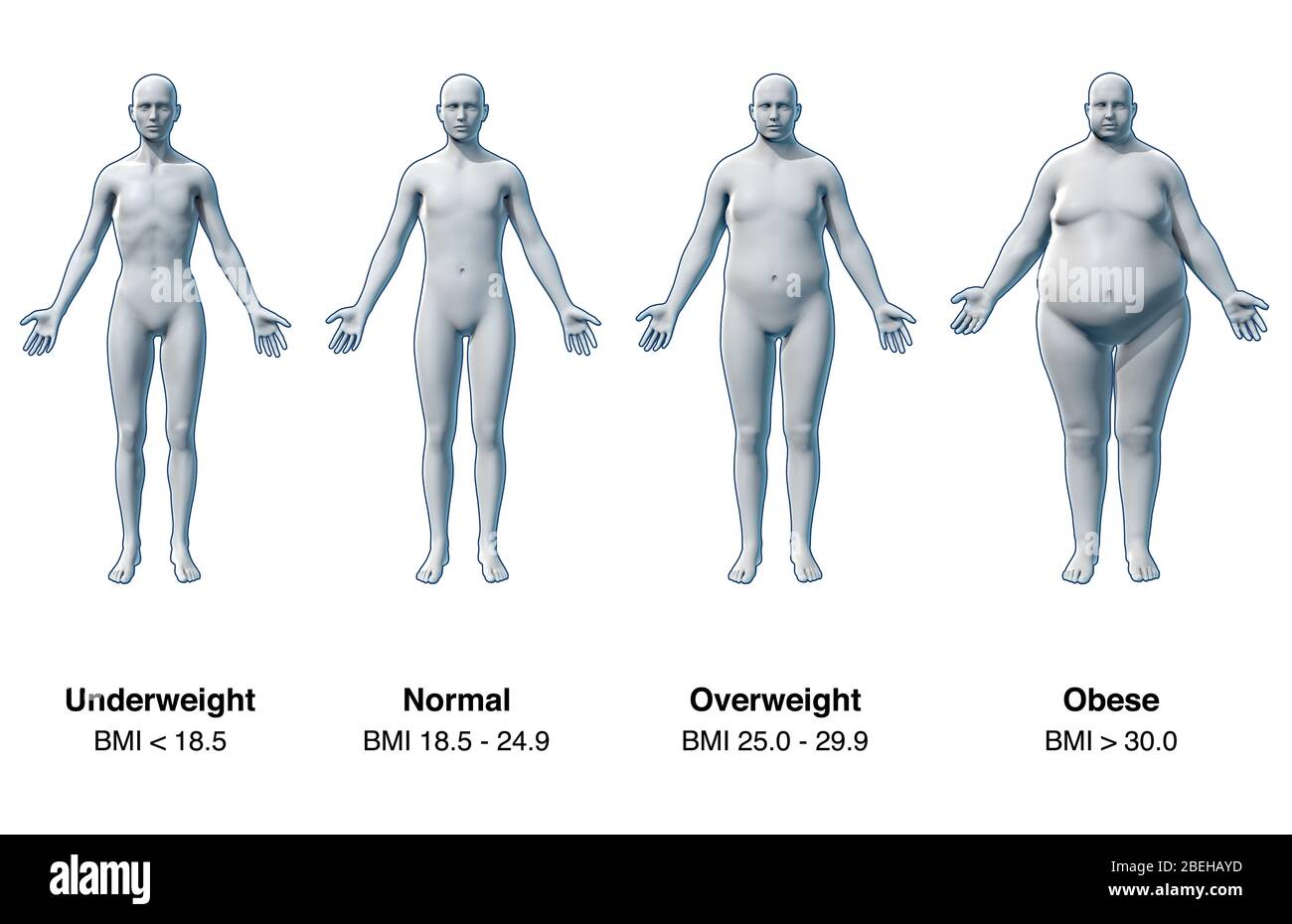 Der Body Mass Index (BMI) ist ein Maß, das verwendet wird, um die Gewebemasse auf der Grundlage des Gewichts und der Größe einer Einzelperson zu quantifizieren. Der BMI wurde entwickelt, um eine Person als Untergewicht, Normalgewicht, Übergewicht oder Fettleibigkeit zu kategorisieren, um mögliche gesundheitliche Risiken wie Mangelernährung oder Essstörungen zu bestimmen. Allerdings ist eine Person BMI meine nicht genau widerspiegeln Körperfettanteil. Zum Beispiel haben professionelle Sportler ein hohes Muskel-Fett-Verhältnis, was zu einem irreführenden hohen BMI führt. Stockfoto