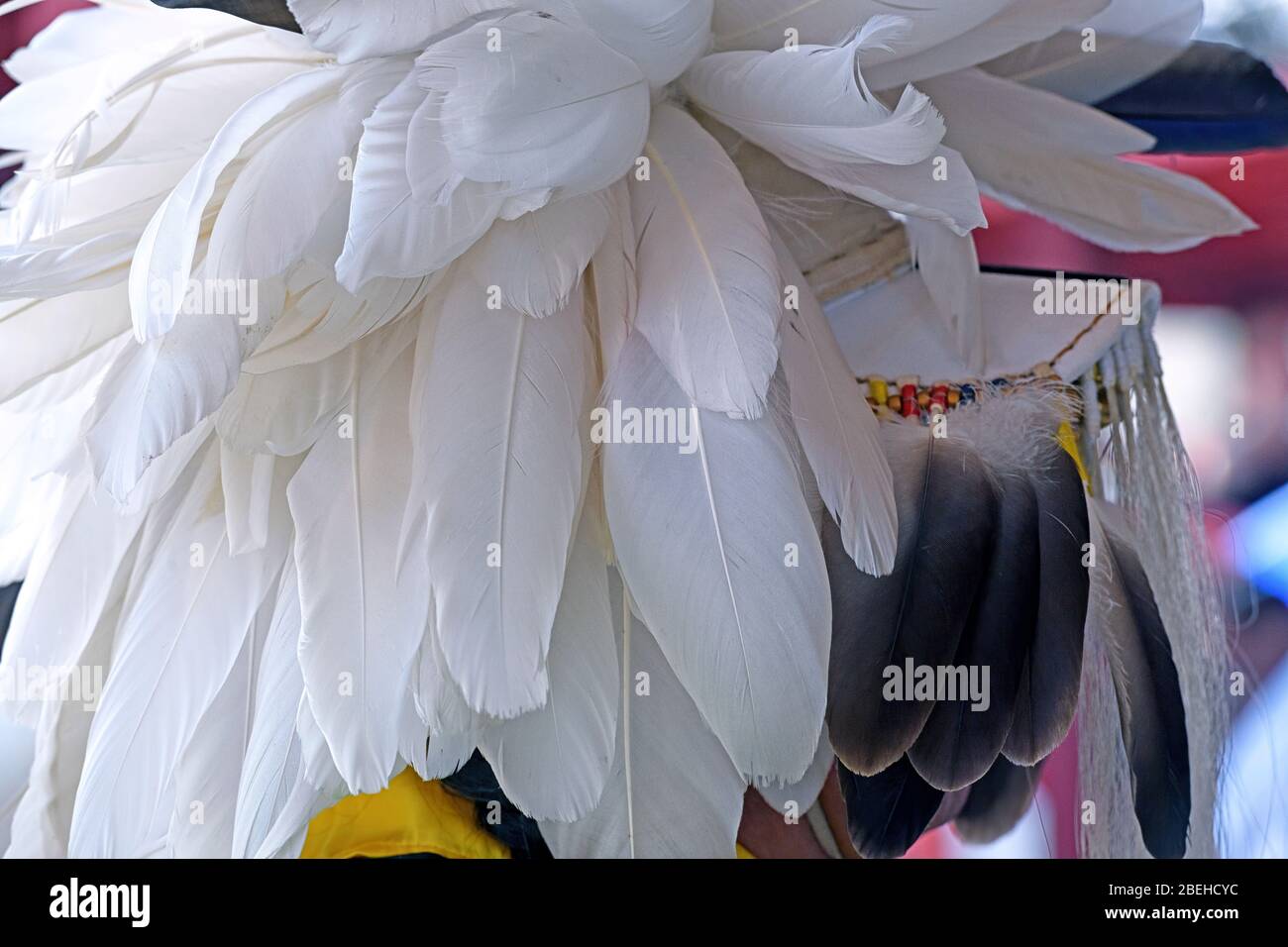 Powwow Tänzerin trägt einen Federkopfschmuck Stockfoto