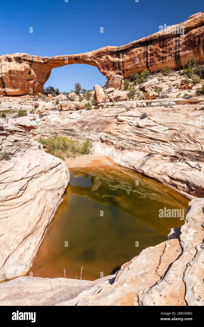 Natural Bridges National Monument Stockfoto