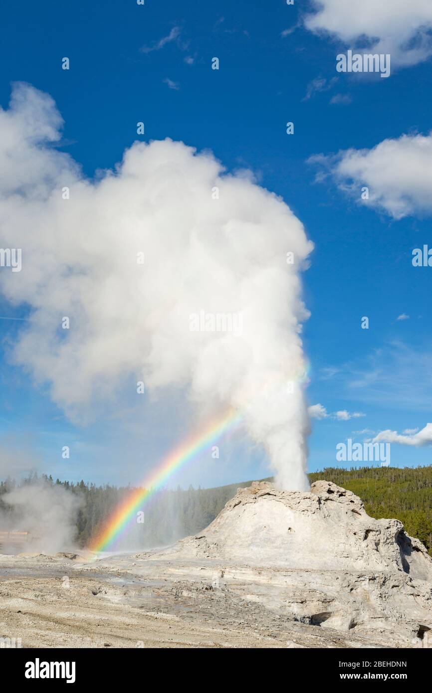 Schloss Geysir ausbrechen mit Regenbogen in Yellowstone Stockfoto