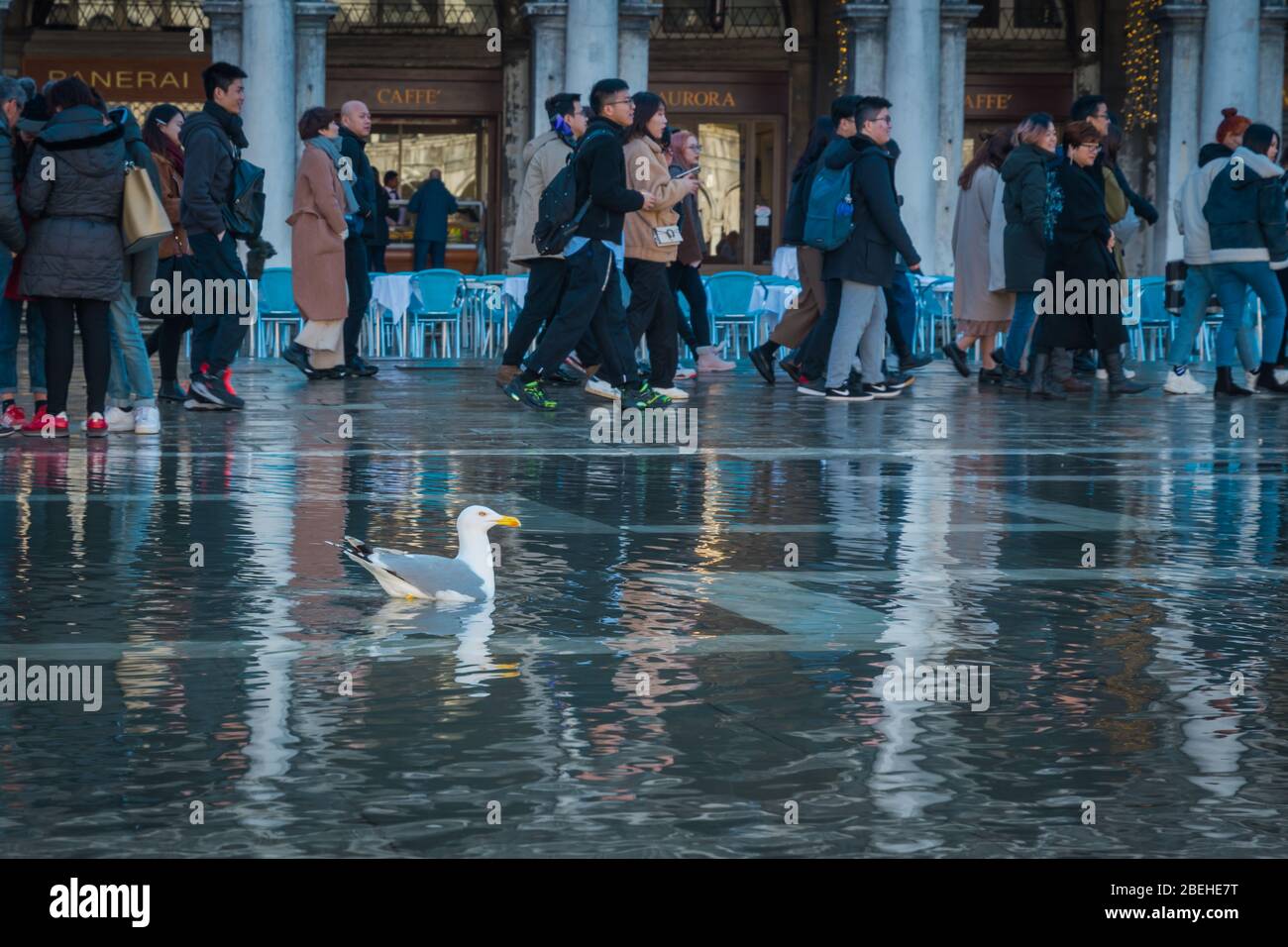 VENEDIG, VENETIEN / ITALIEN - DEZEMBER 26 2019: Blick auf Venedig Stockfoto