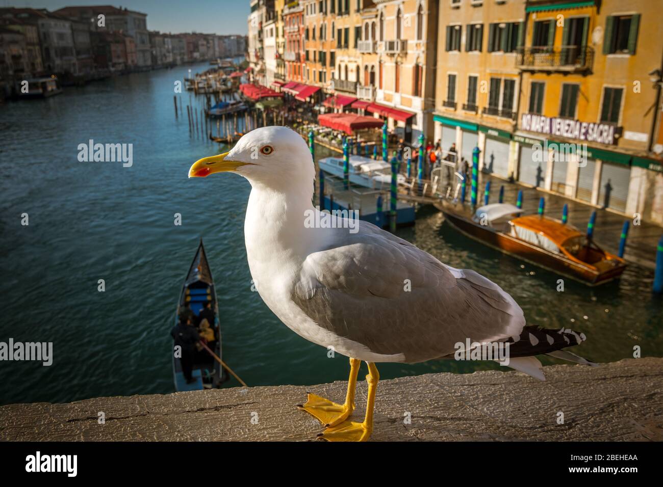 VENEDIG, VENETIEN / ITALIEN - DEZEMBER 26 2019: Straßenbild von Venedig vor der COVID-19-Epidemie Stockfoto