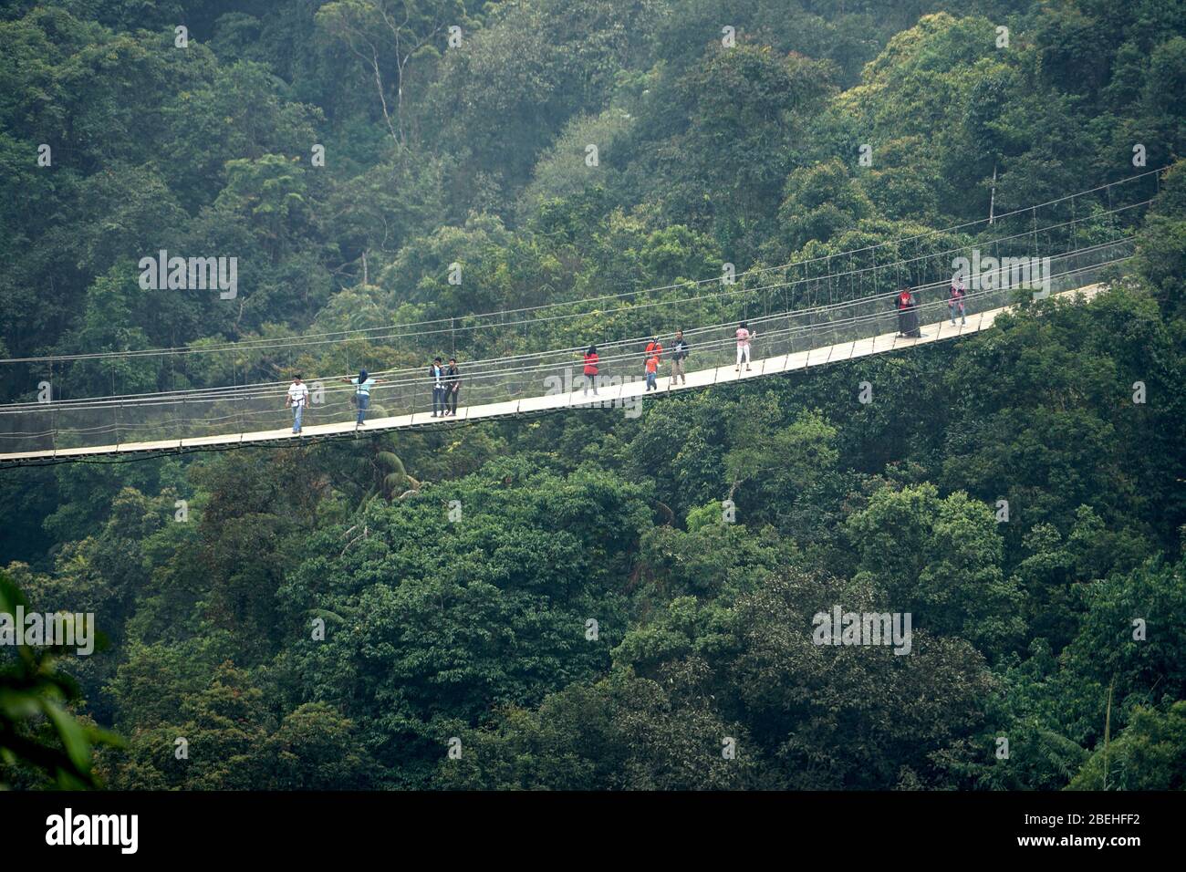 Situ Gunung Suspension Bridge, Sukabumi, West Java, Indonesien Stockfoto