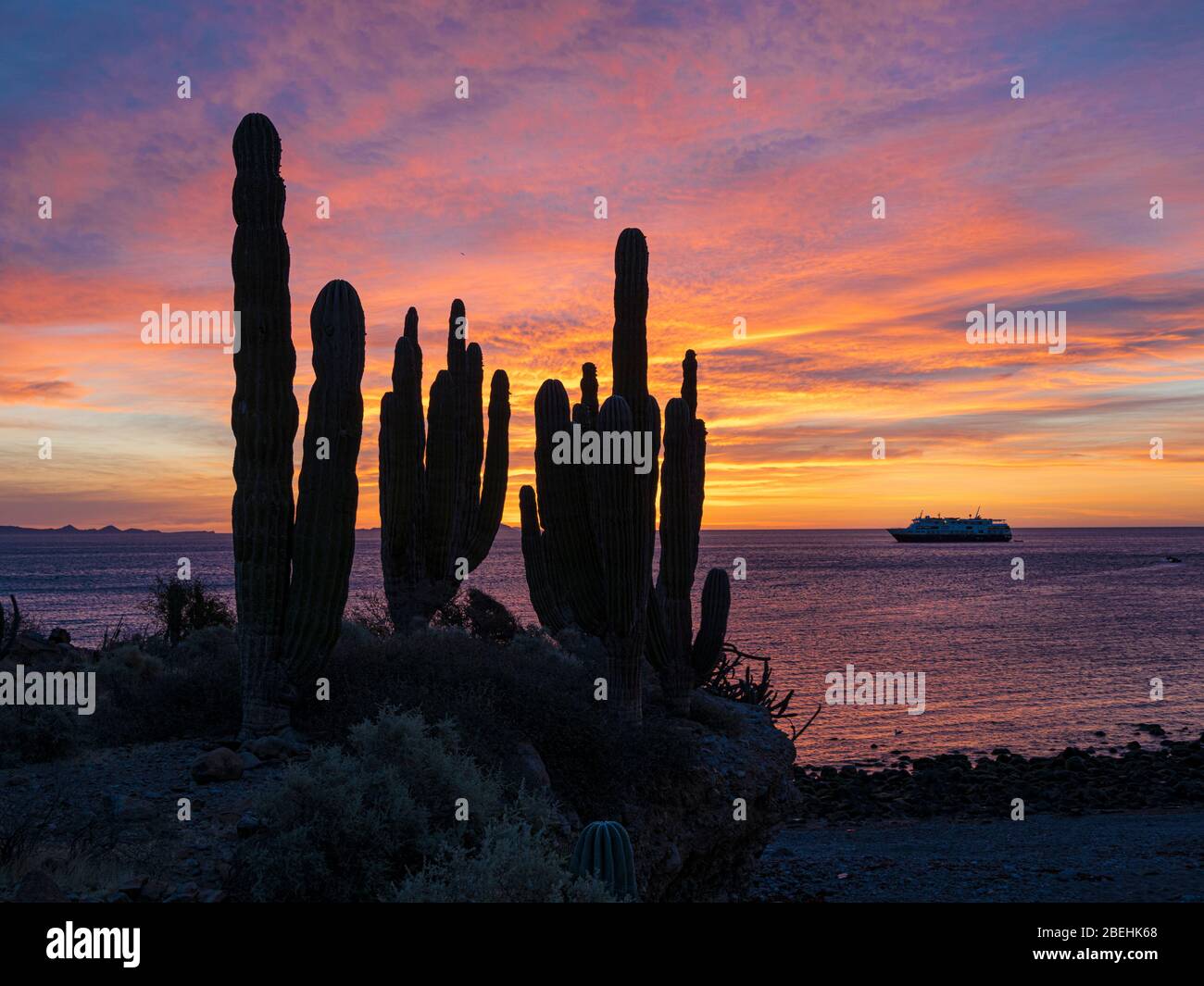 Das National Geographic Venture bei Sonnenaufgang auf der Isla San Esteban, Baja California, Mexiko. Stockfoto