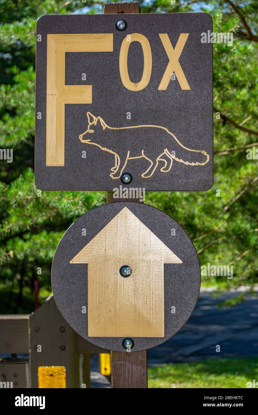 Richtung Straßenschild für Abschnitt F (Fox' in einem Campingplatz Stockfoto