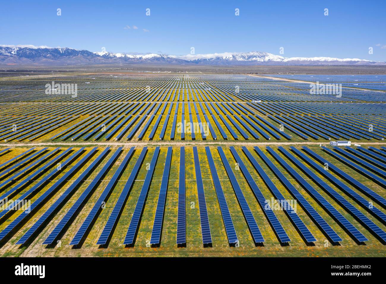 Energieerzeugung auf einer PV-Solar-Ranch im Antelope Valley in Los Angeles County, Kalifornien Stockfoto