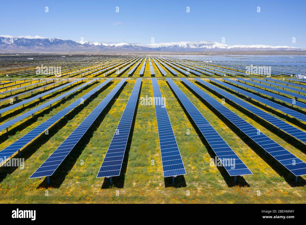 Energieerzeugung auf einer PV-Solar-Ranch im Antelope Valley in Los Angeles County, Kalifornien Stockfoto