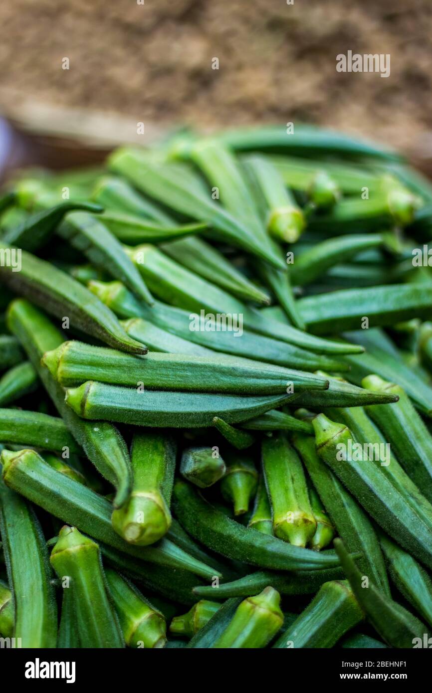 Grüne Ladies Finger auf dem Markt - Okra, Abelmoschus esculentus, in vielen Ländern als Ladies' Finger oder Ochro bekannt. Der geographische Ursprung des Westens Stockfoto