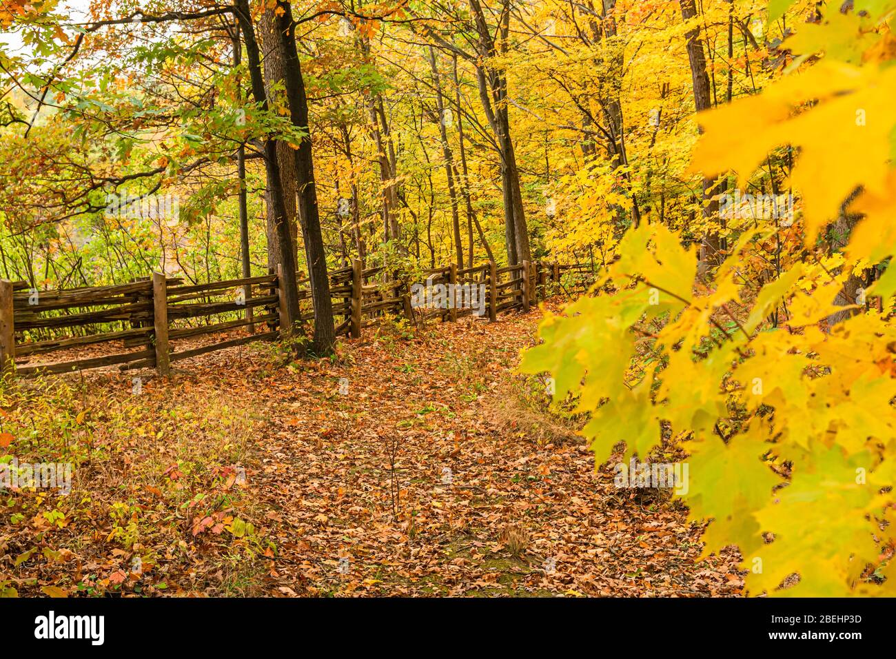 Dundas Valley Niagara Escarpment Hamilton Ontario Kanada im Herbst Stockfoto