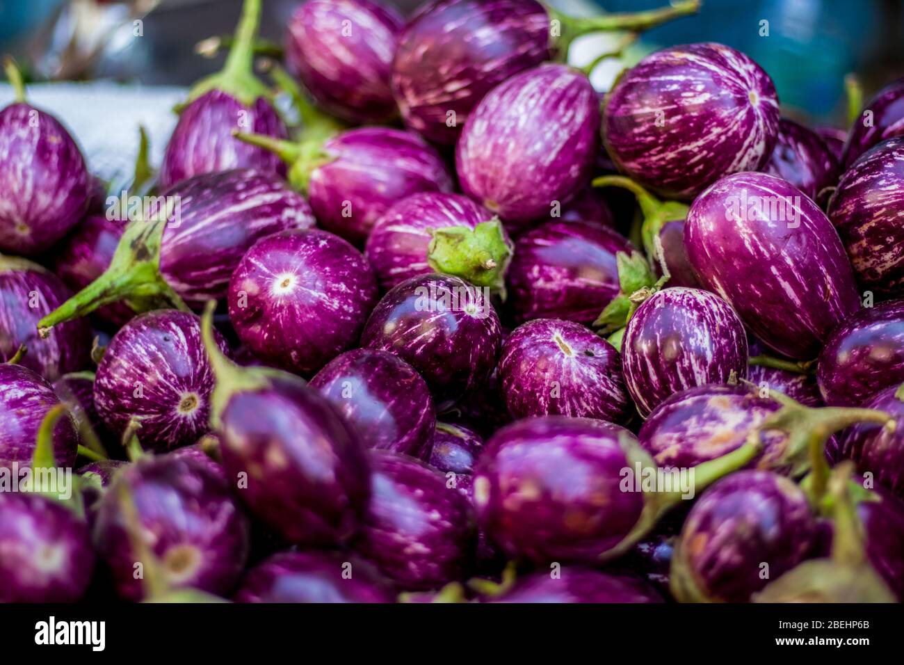 Top-down-Ansicht eines Haufens von Brinjal auf dem Markt.der Name wie Eierfrucht, Aubergine, Solanum melongena genannt, zum Verkauf in einem Gemüsemarkt. Overhead-Komp Stockfoto