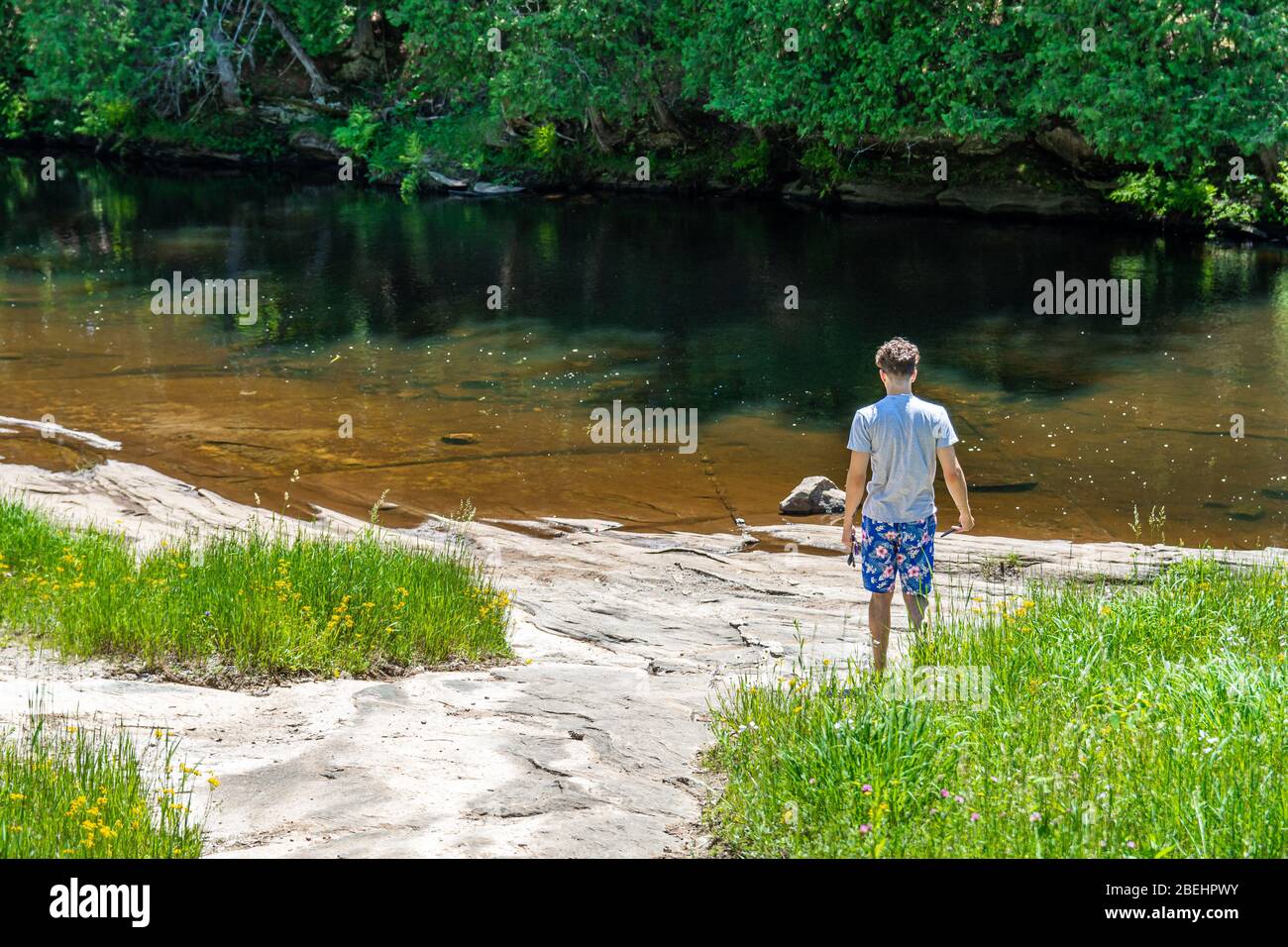Algonquin Highlands County Cottage Land Vistas Wasserfälle und Flora Fauna Ontario, Kanada Stockfoto