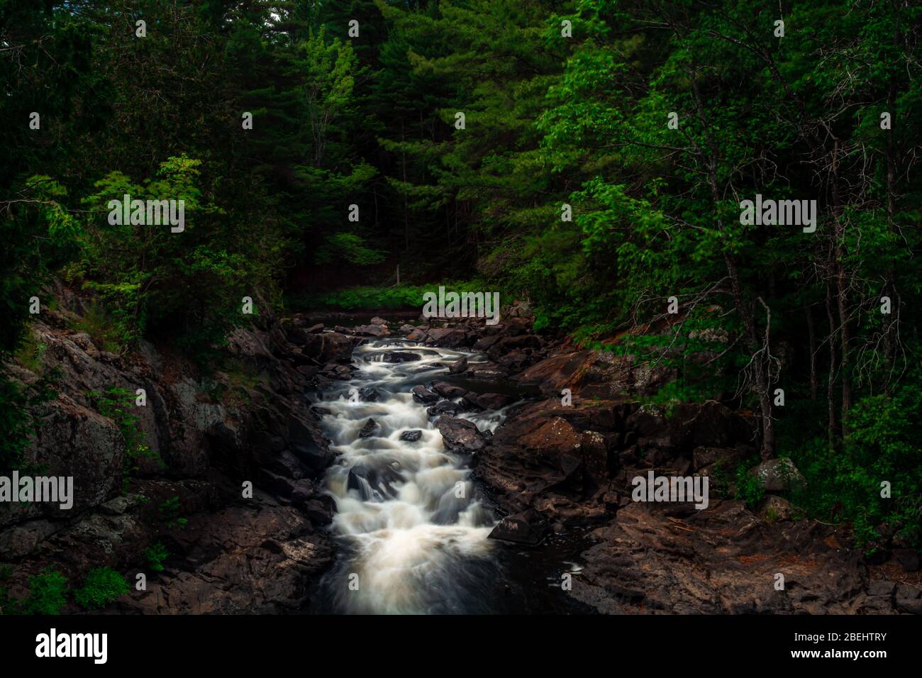 Algonquin Highlands County Cottage Land Vistas Wasserfälle und Flora Fauna Ontario, Kanada Stockfoto