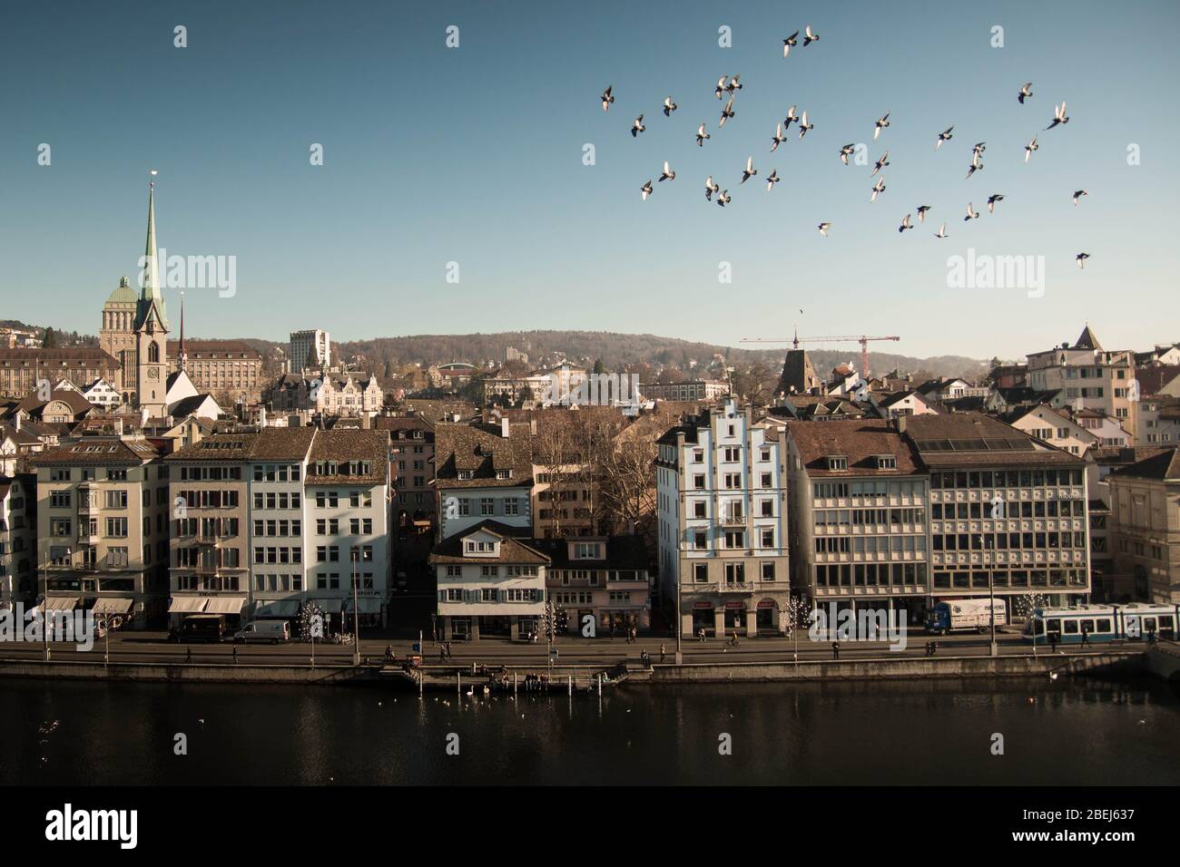 ZÜRICH, SCHWEIZ, UM DEZEMBER 2015 - Zürcher Flusslandschaft mit Limmat und Vögeln, die in einer Herde am blauen Himmel fliegen. Stockfoto
