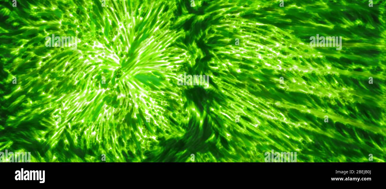 Grün glühende Kernfusion, Computer generiert abstrakten Hintergrund, 3D-Rendering Stockfoto