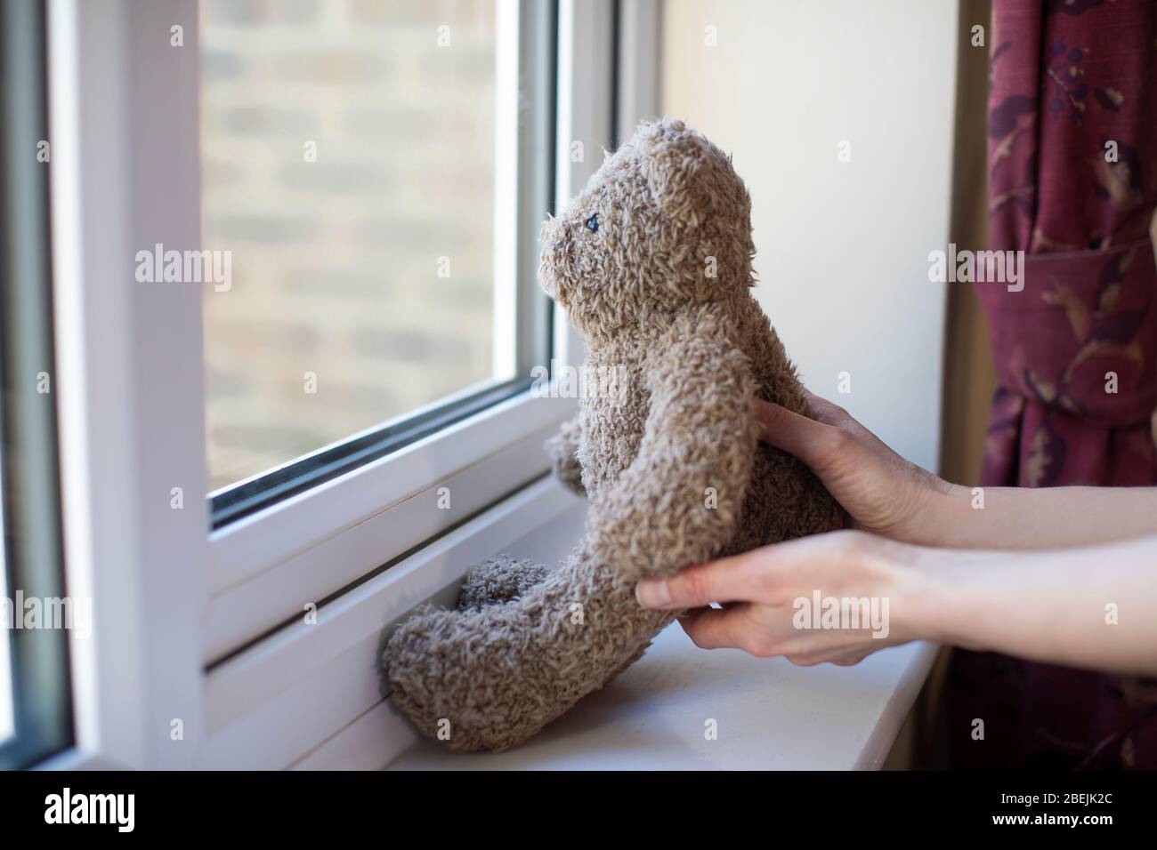 Frau, Die Teddybär Im Fenster Zu Hause Für Bear Hunt Spiel Während Coronavirus Pandemie Setzen, Um Kinder Zu Unterhalten Stockfoto