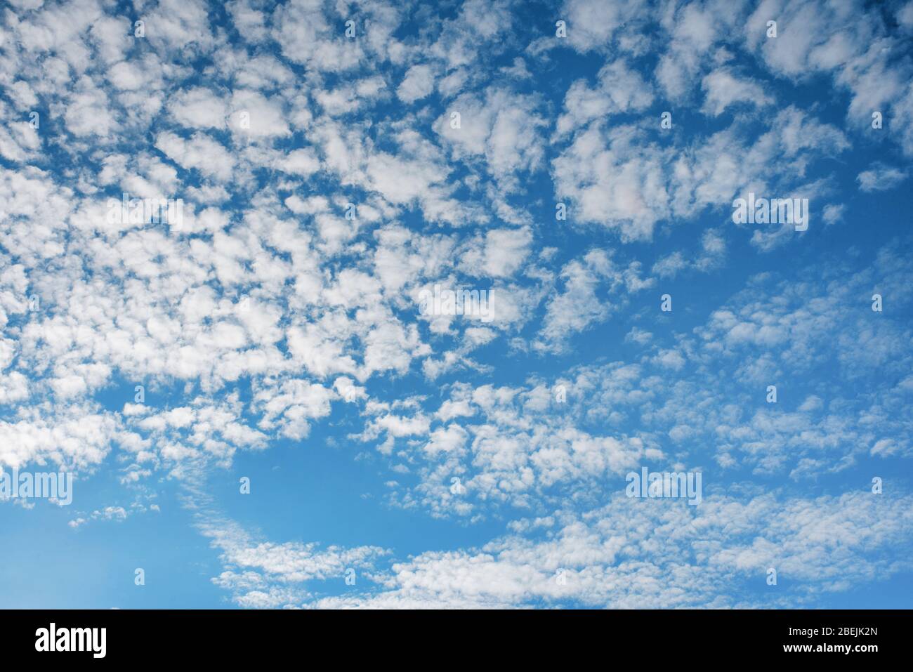 Weißer Zirrus, federleichte Wolken gegen den Frühling strahlend blauer Wolkenhimmel an sonnigen Tagen in England Stockfoto