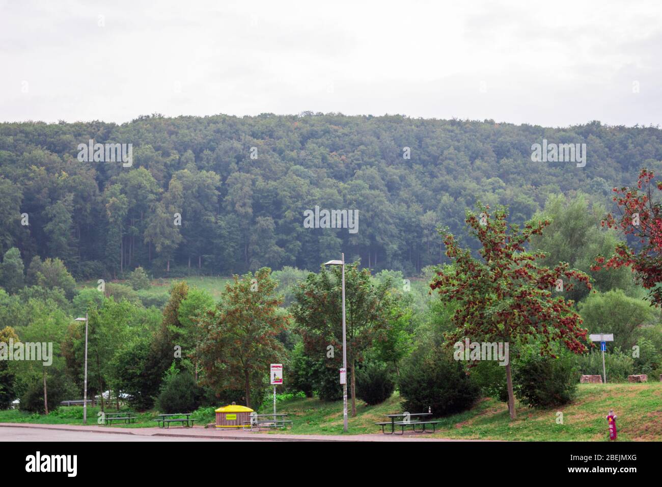 Bäume Pflanzen Gras und Grün in der Autobahn von Rosenheim neue Autobahn Deutschland Stockfoto